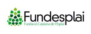 logo-fundesplai-clientes-web-bugiconsulting